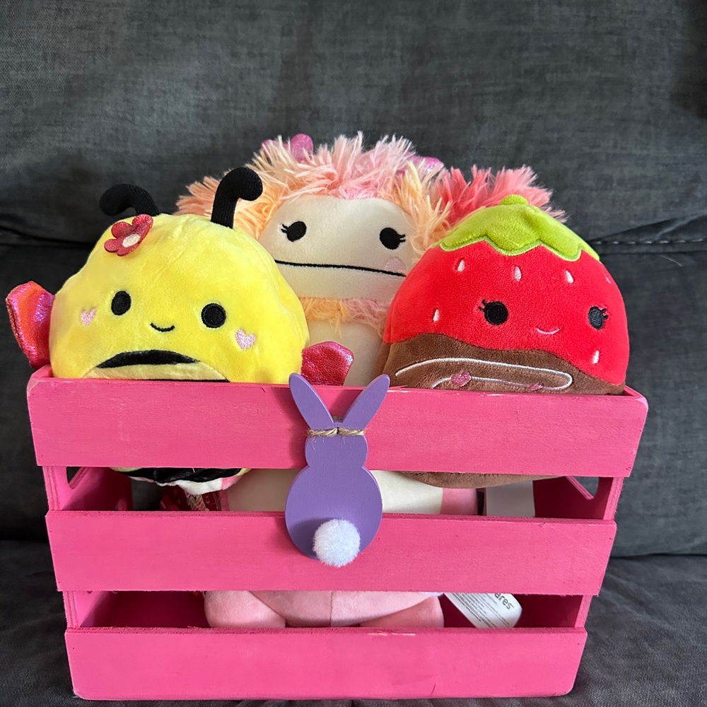 Pink wooden Easter basket w/ Squishmallows!